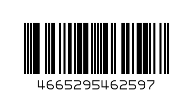 ПАПКА Д/ТЕТР  А4 НА МОЛНИИ ДВА АВТО ПТ-6259 - Штрих-код: 4665295462597